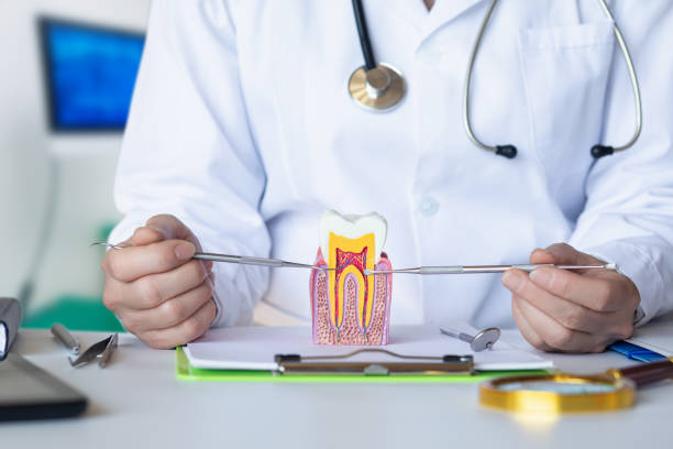 Best Urgent Dental Care for Toothache in Pinson, AL